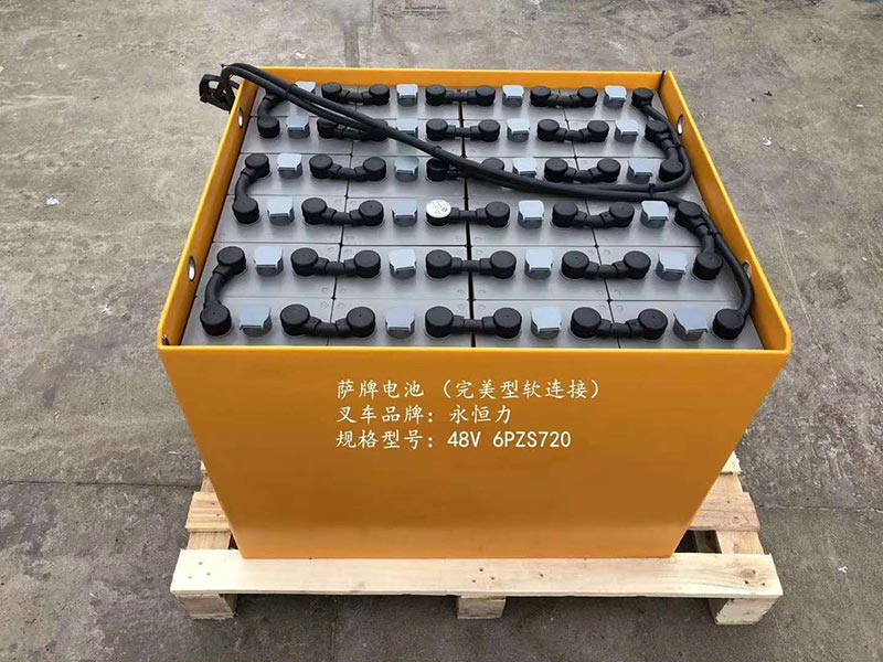永恒力叉车48V电池(图5)